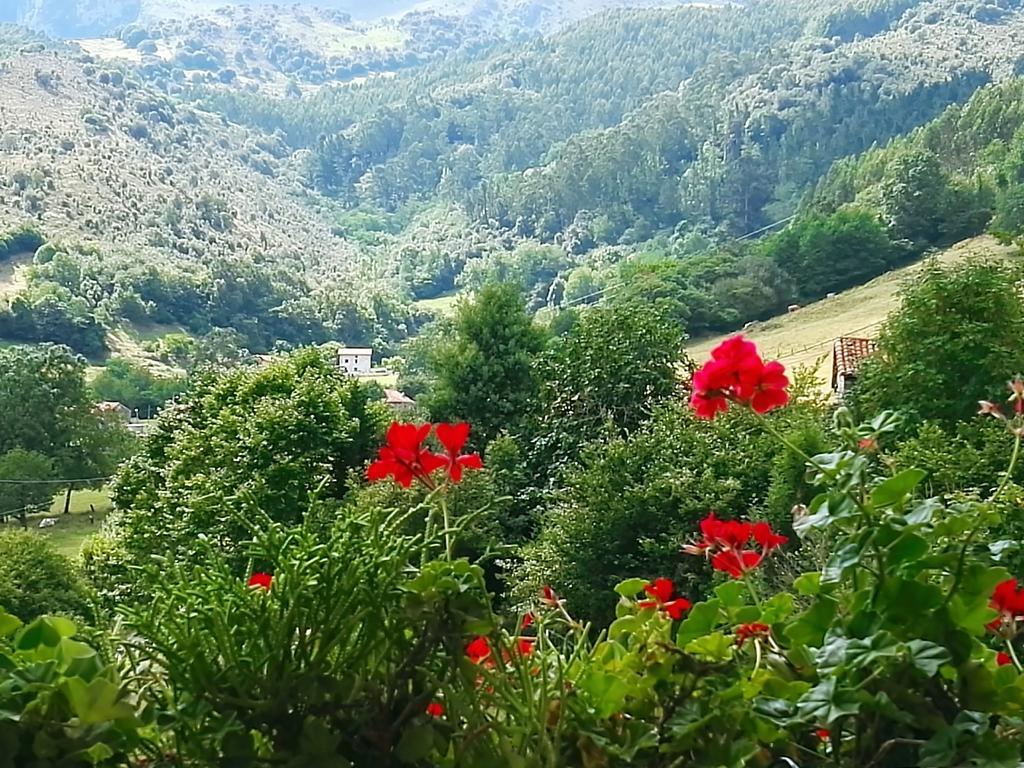 Finca Artienza Ramales de la Victoria Eksteriør bilde
