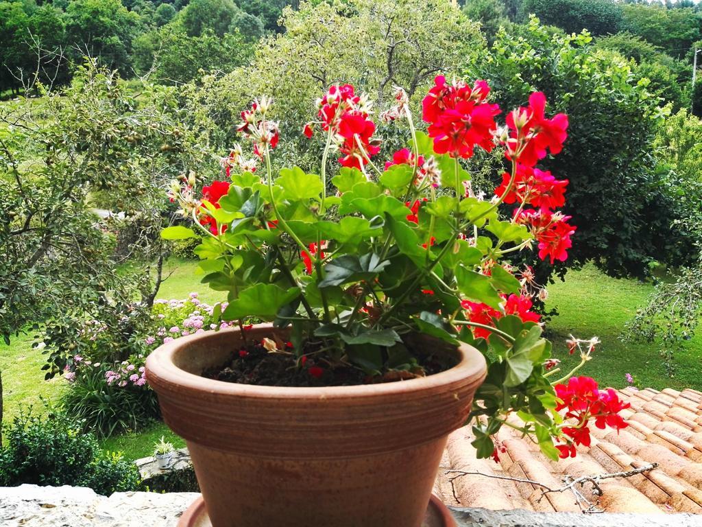 Finca Artienza Ramales de la Victoria Eksteriør bilde